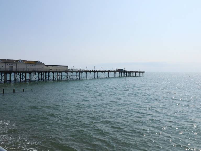 Cottage Teignmouth