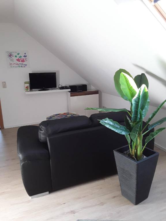 foto30