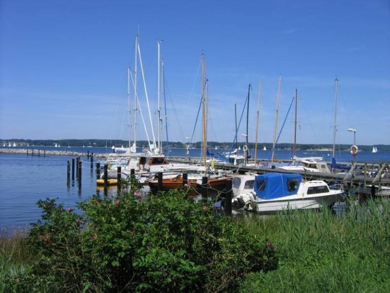 foto10