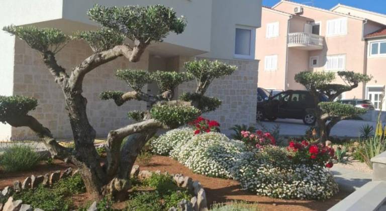 Holiday apartment | Next to the beach | Pets allowed — photo 5