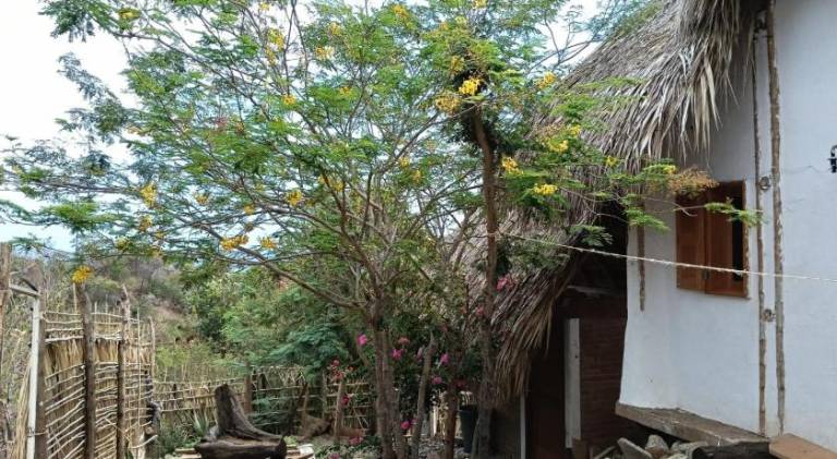 Wonderful rental apartment | Beach nearby | Pets allowed — photo 4