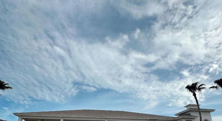 The Flamingo - South Padre Island — photo 4