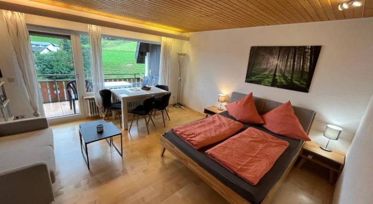 Haus am Sonnenberg, Todtnauberg, Ferienwohnung 204, direkt am Skilift-Skipiste, Nahe Feldberg in Todtnau