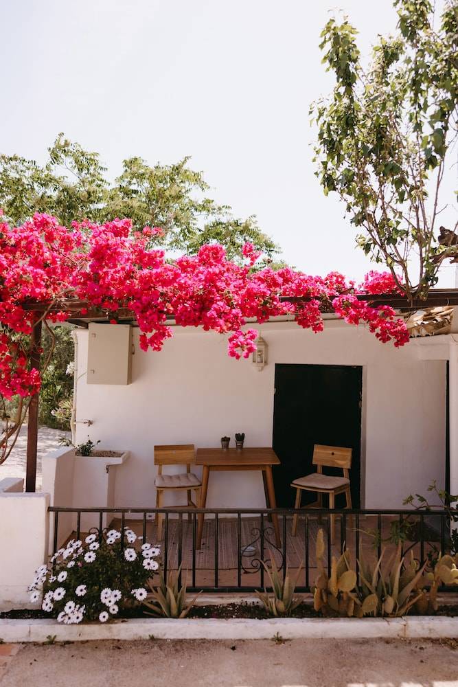 bed & breakfast  Málaga