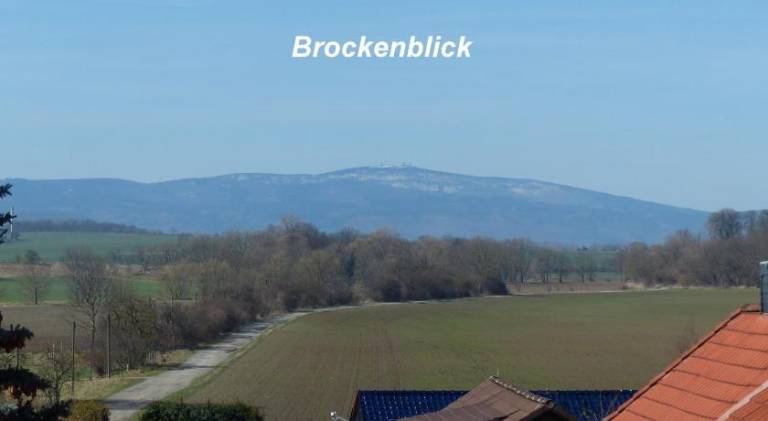 Rental apartment with garden & grill in Halberstadt