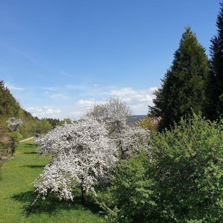 foto24