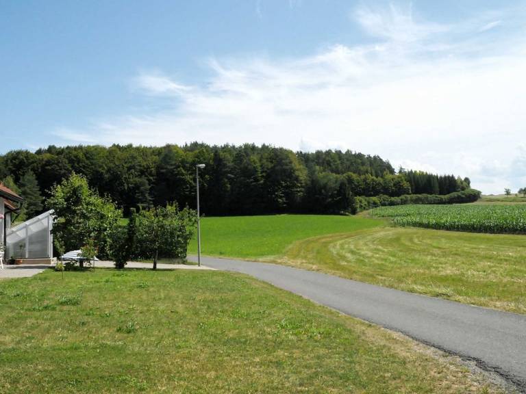 foto16