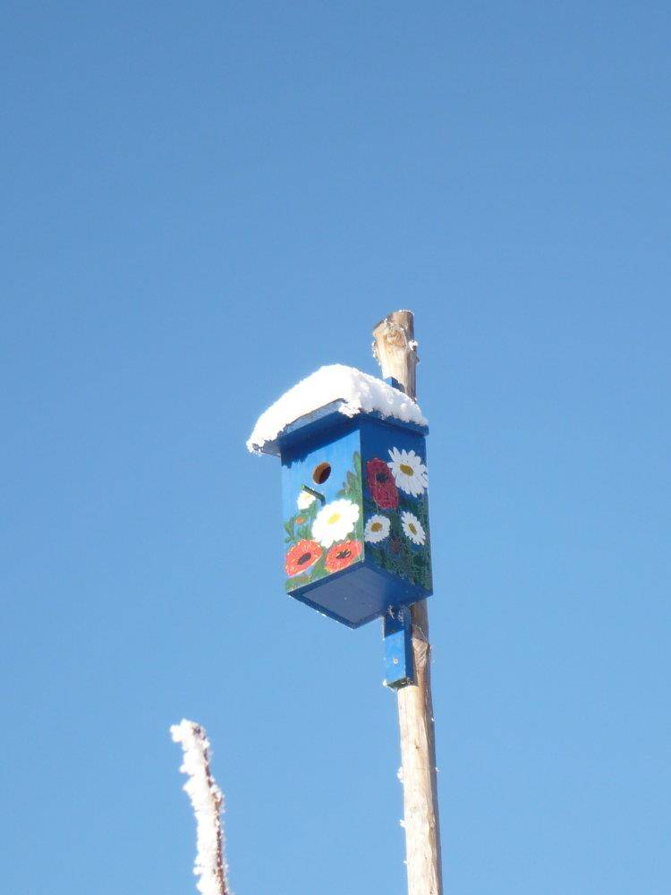 foto3