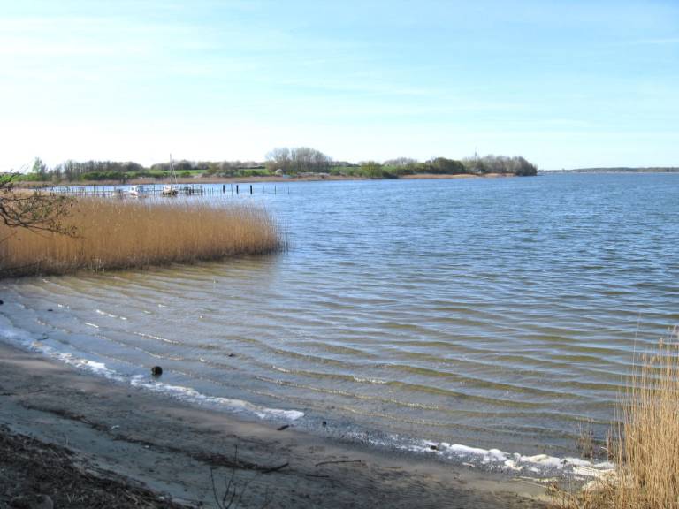 Ferienhaus Brandshagen