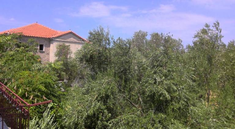 Villa Antoinette — photo 4