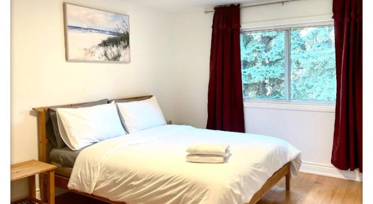 Cozy Queen room with Shared Bath near Seneca Donmills Finch