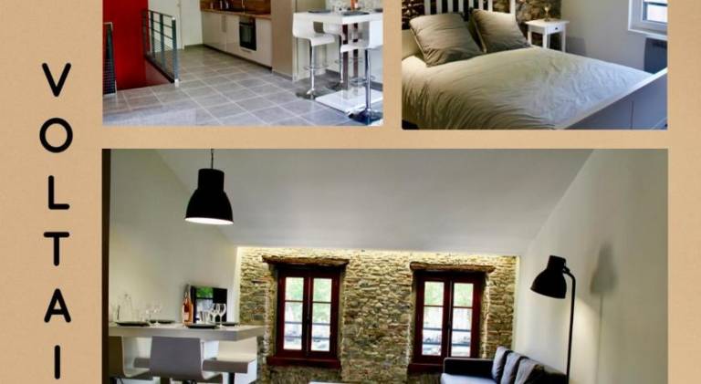 Beautiful rental apartment | Pets allowed in Carcassonne