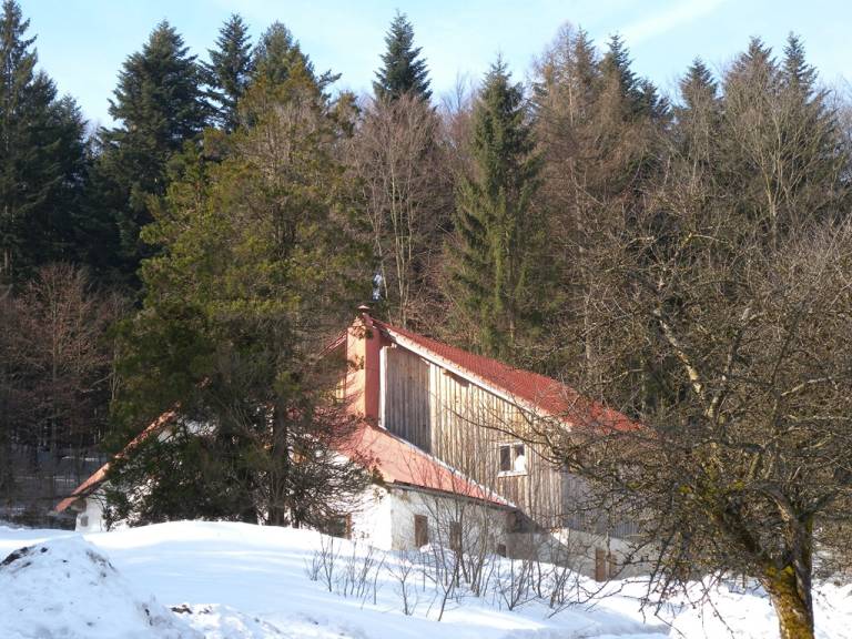foto5