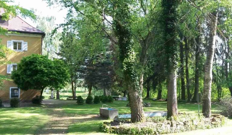 foto38