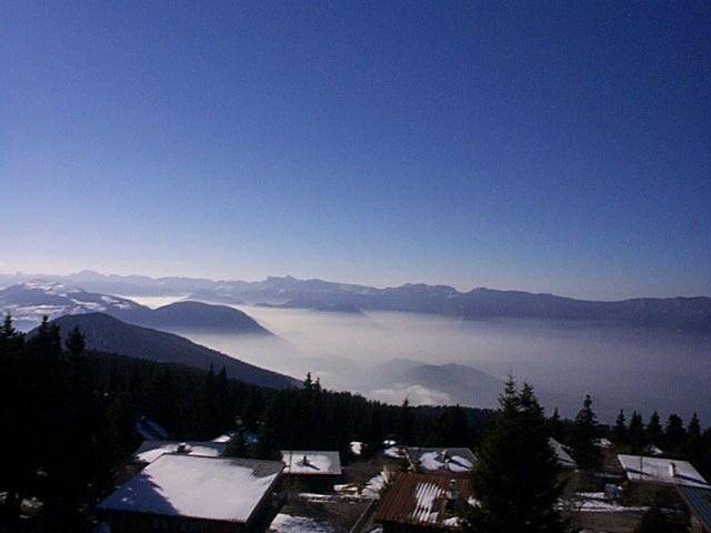 foto18