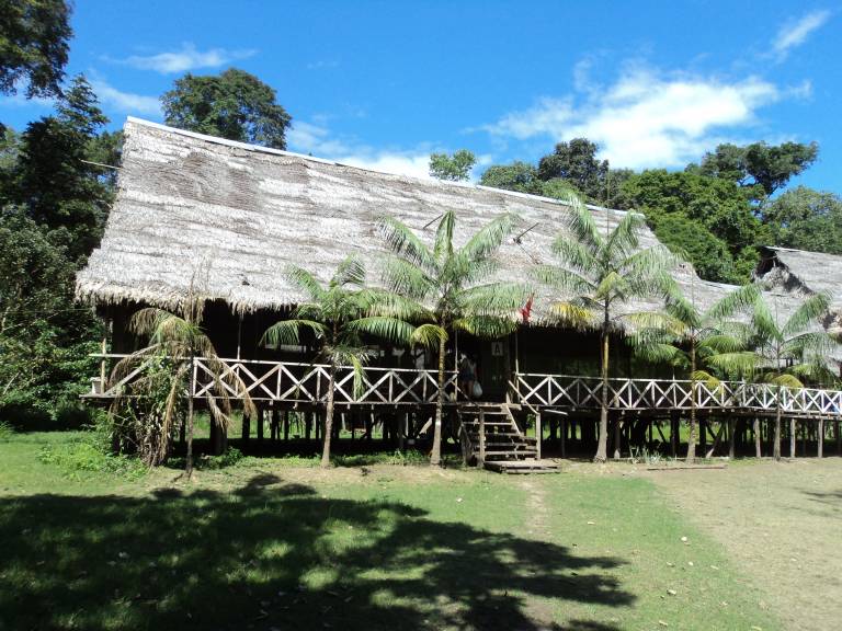 Amazon Lodge & Safaris