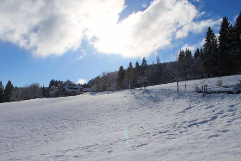 Appartement Schluchsee