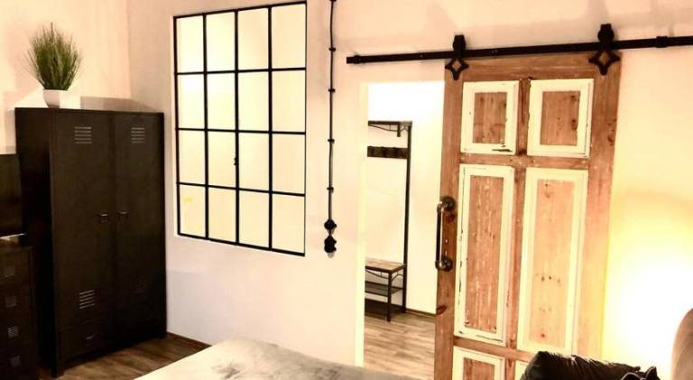Pleasant rental apartment | Pets are welcome in Erfurt
