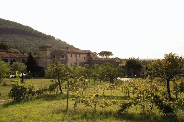 foto1