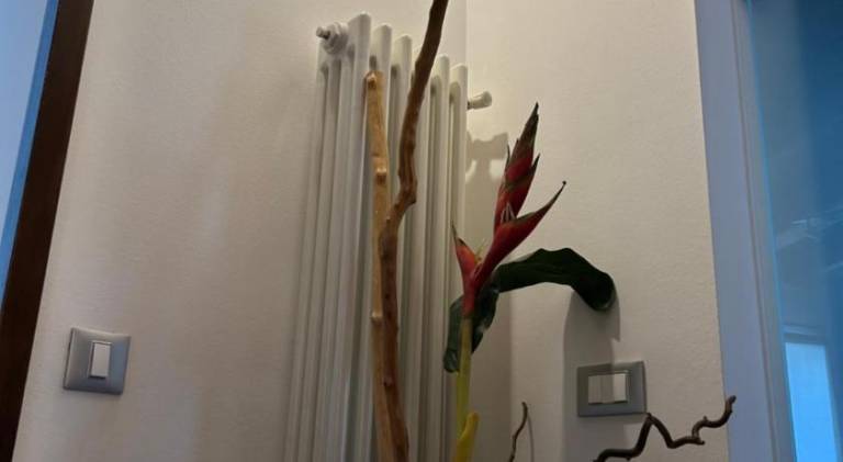 foto8