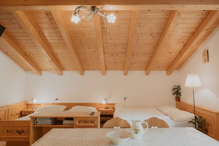Studio 'Gogererhof App Maria' with Mountain View, Balcony & Wi-Fi — photo 3