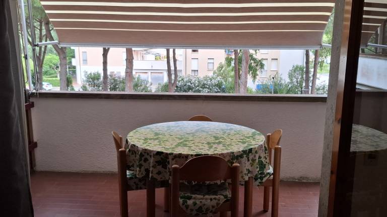 Ferienwohnung in Mazzanta, Vada für max. 4 Personen, Ferienwohnung in Mazzanta, Vada für max. 4 Personen,