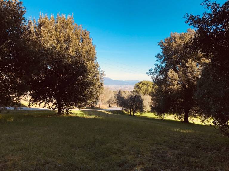 foto30