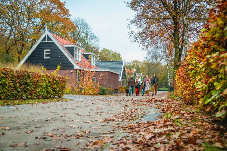 Ferienpark  Schaarsbergen