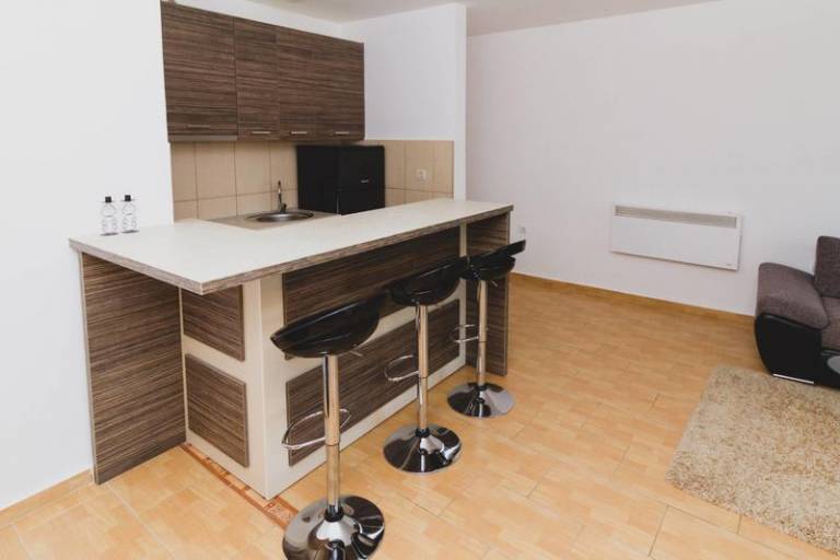 Apartment with terrace — photo 4