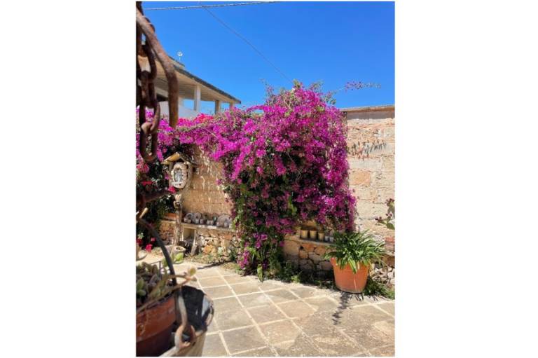 Masseria Scianne: Camera matrimoniale superior 4 — photo 4