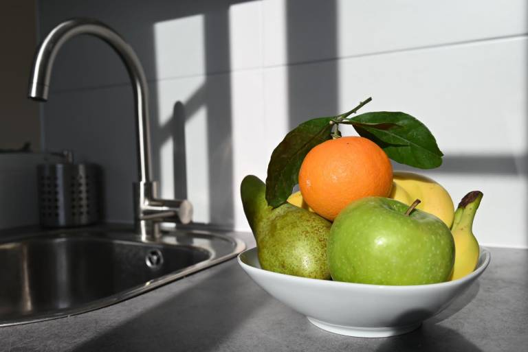 Holiday apartment | Good for workation | Pets allowed — photo 5