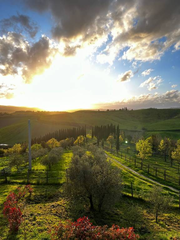 Bauernhof in Petriccio, Chianti, Toskana f&uuml;r max. 7 Personen