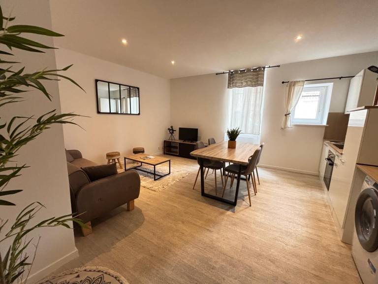 Appartement Roanne
