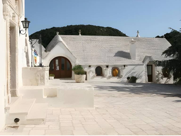 Farm with yard, patio & pool | Pets allowed in Crispiano