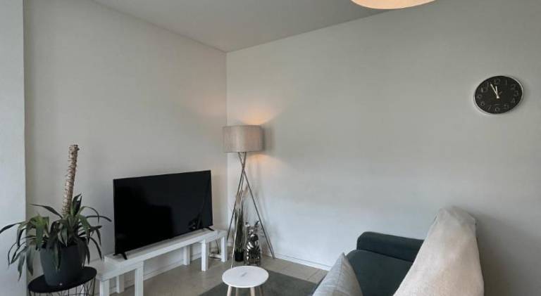 Nice apartment | Pets allowed — photo 4