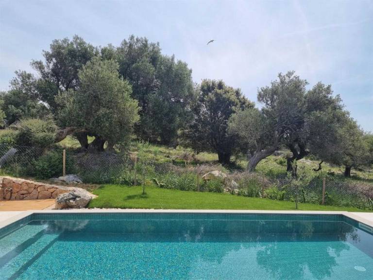 Experience Villa Kadila – Heated Pool & Sauna in a Timeless Olive Grove — photo 3