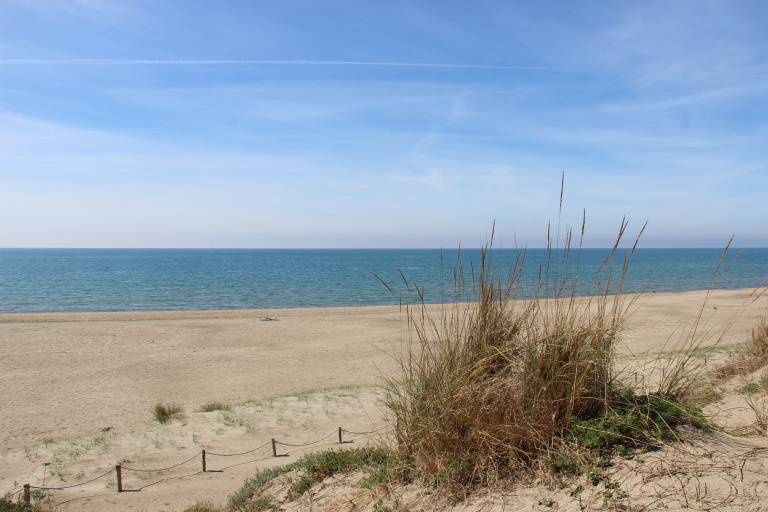 foto46