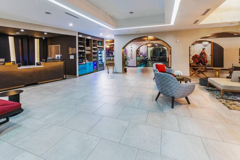 Hotel Indigo Spring - Woodlands Area By IHG — photo 4