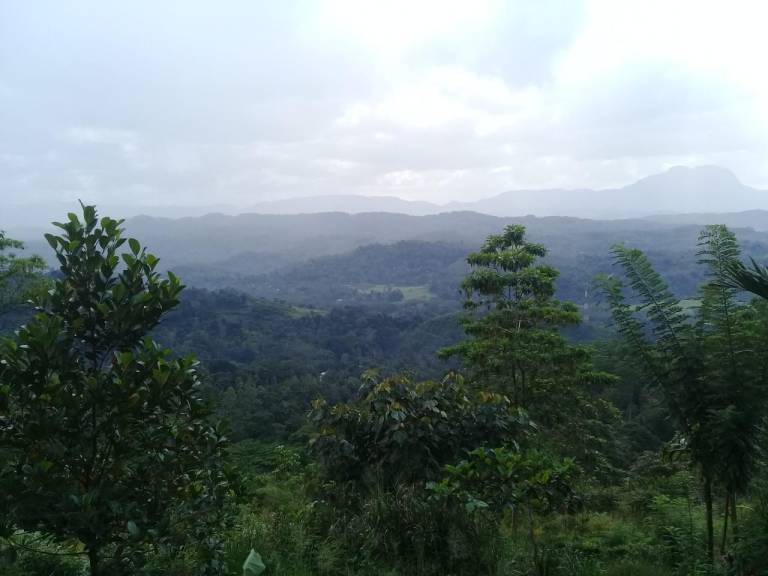 foto15