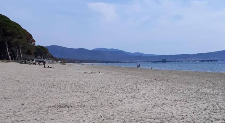 Apartment | Pet-friendly in Follonica