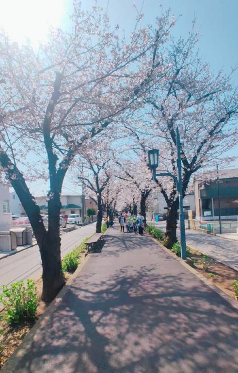 Apartment Ohara
