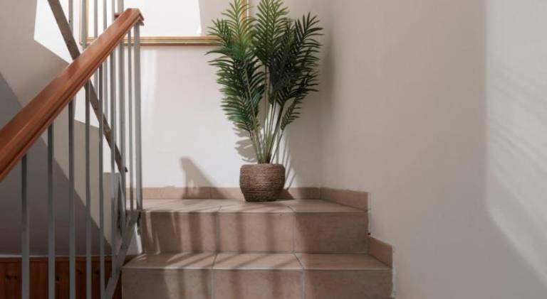 Charming rental apartment | Pet-friendly — photo 5