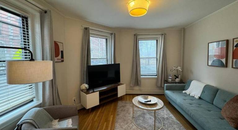 Beautiful rental apartment | Suitable for remote work | Pet-friendly in Boston, MA