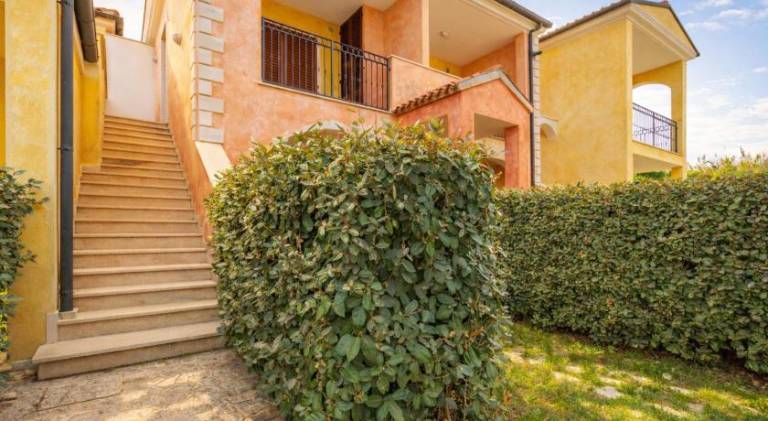 Pleasant holiday apartment | Dogs allowed — photo 4