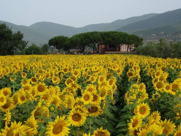 Agriturismo Pavone: Appartamento Stalla — photo 2