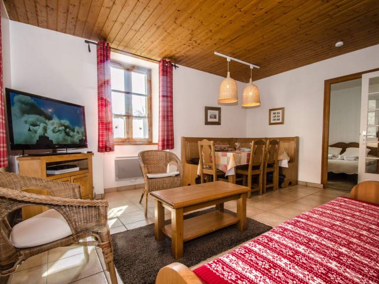 Fully equipped charming apartment | Mountain view | Close to the ski | Pets allowed in Chamonix-Mont-Blanc