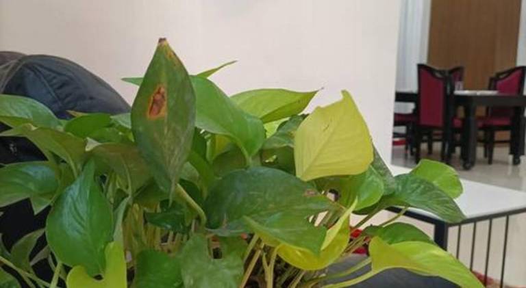 foto6