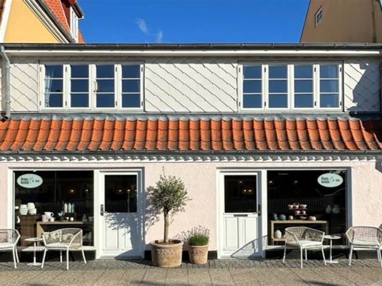 House  Skagen