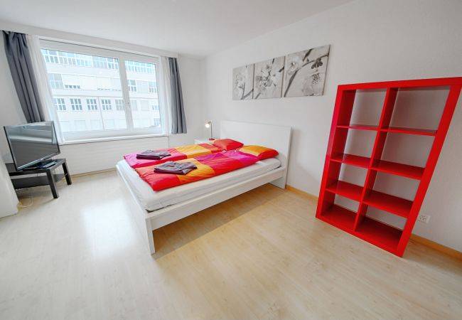 foto7