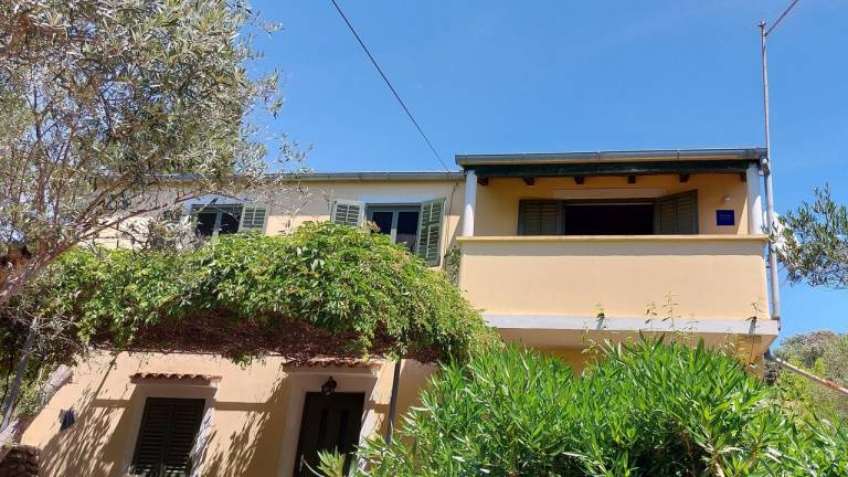 Apartman Punta Križa